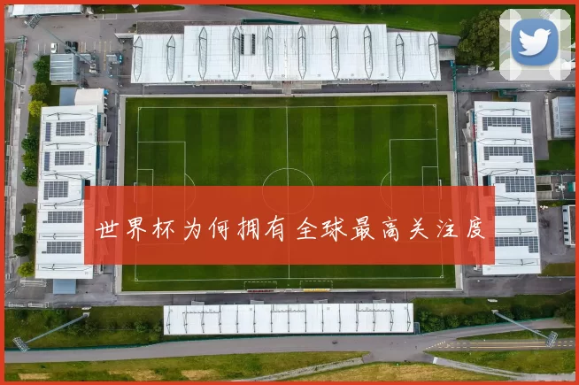 世界杯为何拥有全球最高关注度