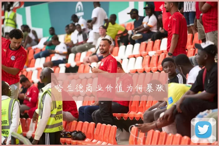 哈兰德商业价值为何暴涨